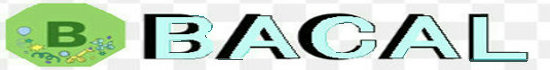 【 BACAL 】